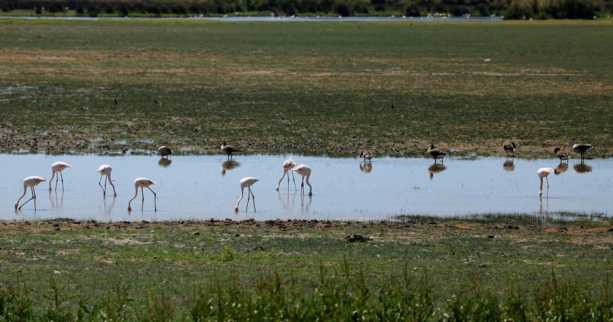 Bird flu outbreak shuts parks in Spain's Andalusia