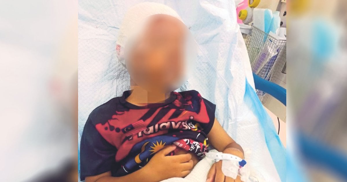 Boy in dog attack stable after first surgery, says father