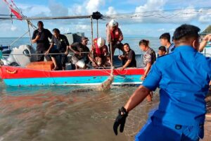 Buaya tembaga 3.65 meter ditangkap di Pantai Teluk Bahang