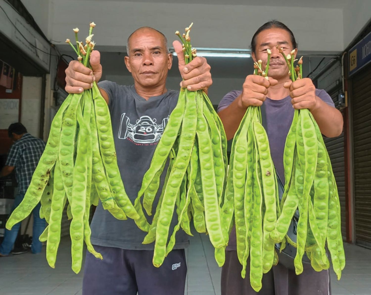 Dua sahabat 20 tahun panjat 2,000 pokok petai