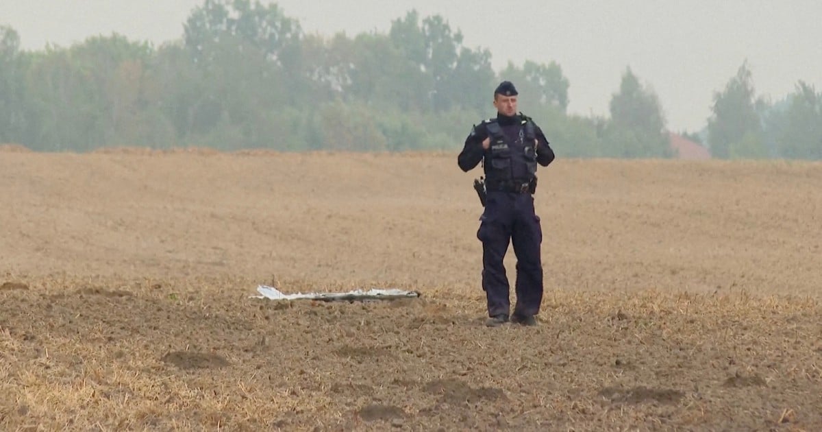 Dutch jets helped down Russian drones over Poland - PM