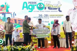 Faktor iklim jejas tahap sara diri beras di Perak