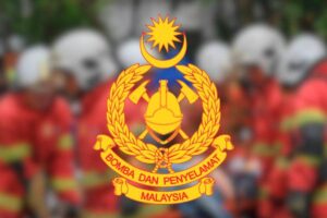 Firemen rescue worker stranded on telco tower after wasp attack