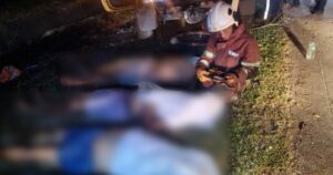 Four die as 4WD crashes into tree on SKVE