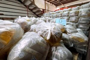 GOF seizes RM2.6 million in unauthorised crude palm oil in Batu Pahat