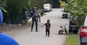 Group calls for stricter laws to stop dog attacks