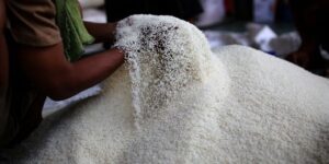 Harga beras RM26 tidak relevan, perlu diselaras