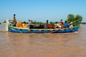 IMF says Pakistan's flood spending, budget agility to be reviewed