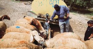 In  Israeli-occupied West Bank, Palestinian taps run dry