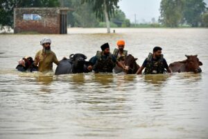 India likely to receive above-average monsoon rainfall in September