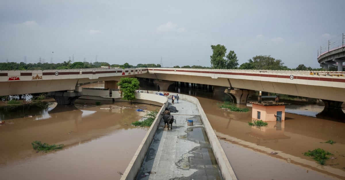 India's Yamuna river crosses danger mark as heavy rains flood parts of Delhi