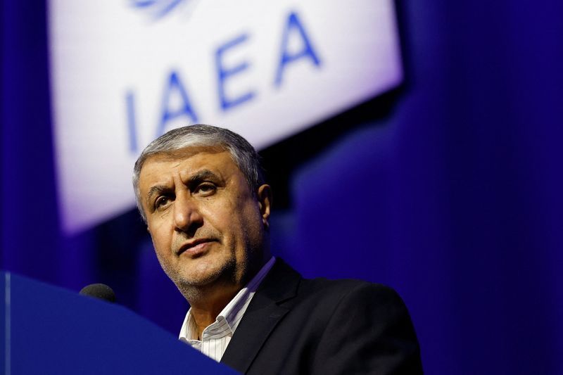 Iranian nuclear chief visits Moscow, RIA says