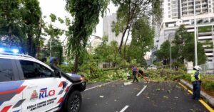 KL storm knocks down at least 17 trees, leaves roads blocked