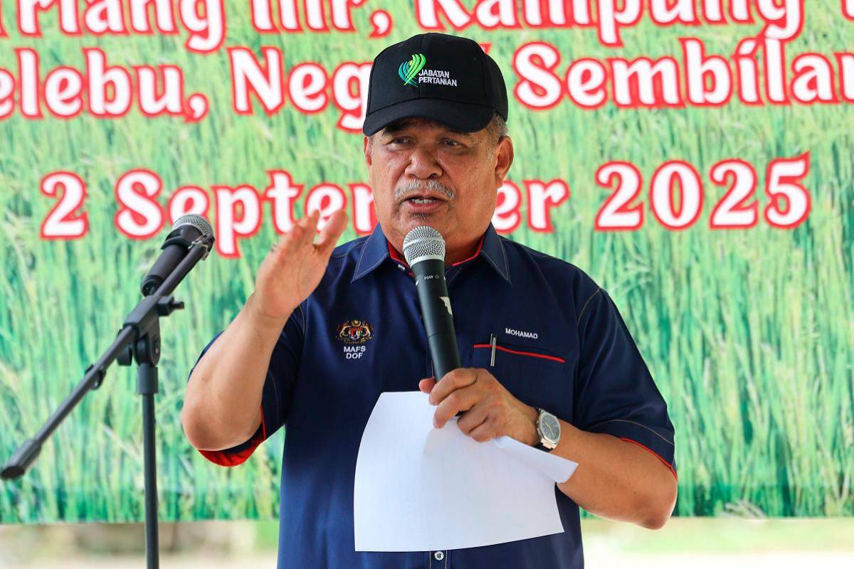 KPKM monitors local white rice price at RM2.60 per kg after subsidy ends