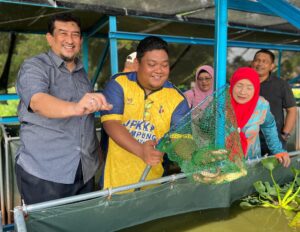 Komuniti kampung ternak puyu hibrid