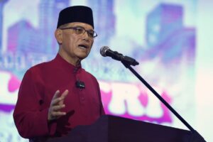 Kuantan kite fest draws in over 20,000 local, foreign visitors