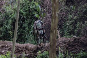 Land quarrels in rebel-occupied Congo threaten Trump peace deal