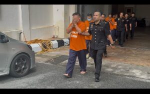 Lima pengusaha kebun haram musang king direman, disyaki raih hasil haram ratusan ribu ringgit