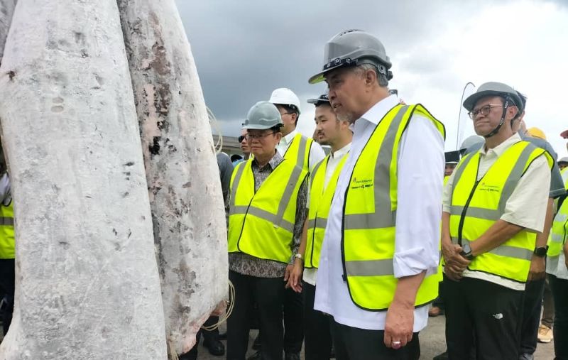 Malaysia berpotensi jadi hab pendaratan tuna ASEAN – Ahmad Zahid