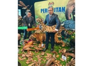 Malaysia to chair two of seven environment Asean sub-committees, says Johari
