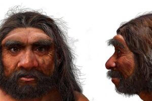 Million-year-old skull discovery challenges human evolution timeline