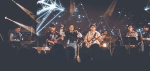 Music in the forest – jazz for turtles