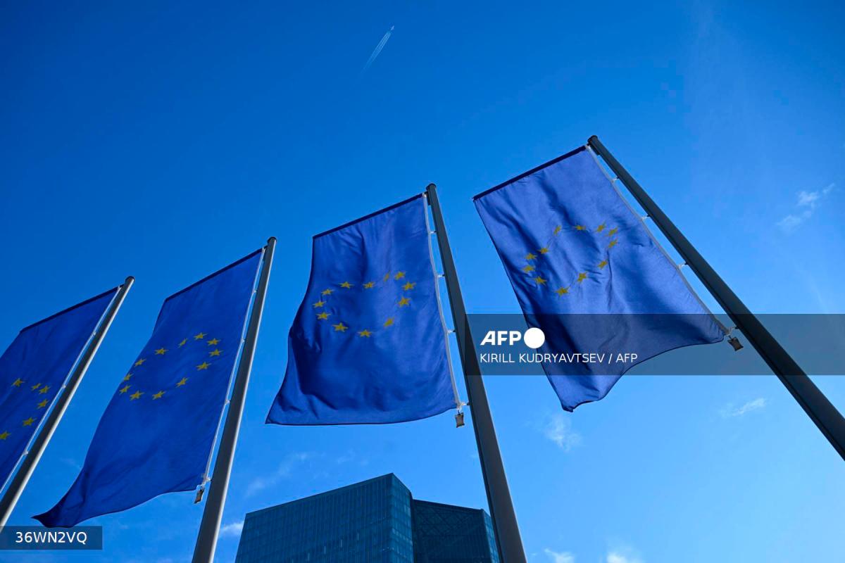 NGOs urge EU to exclude fossil fuels from sustainable investment labels