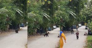 #NSTviral: Boy bleeding from head after vicious dog attack