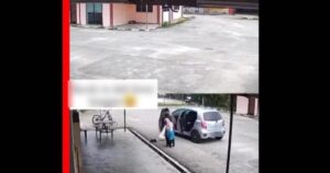 #NSTviral: TikTok video sparks outrage as kittens abandoned, one almost run over