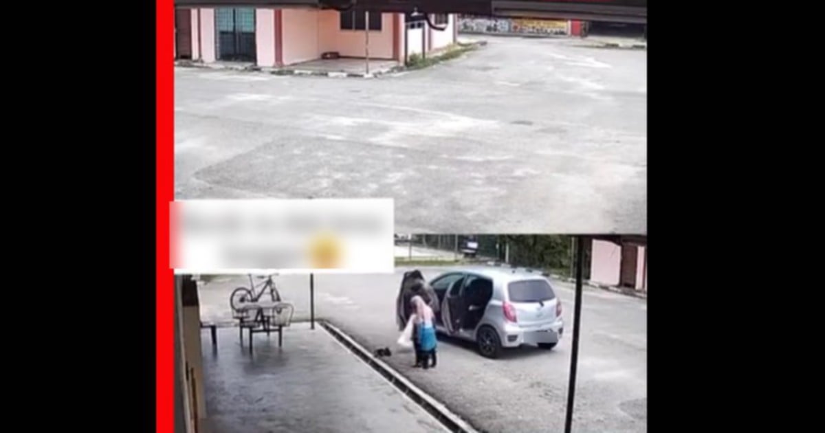#NSTviral: TikTok video sparks outrage as kittens abandoned, one almost run over
