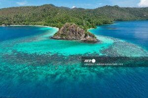 Nickel mining threatens Indonesia coral haven, NGOs warn