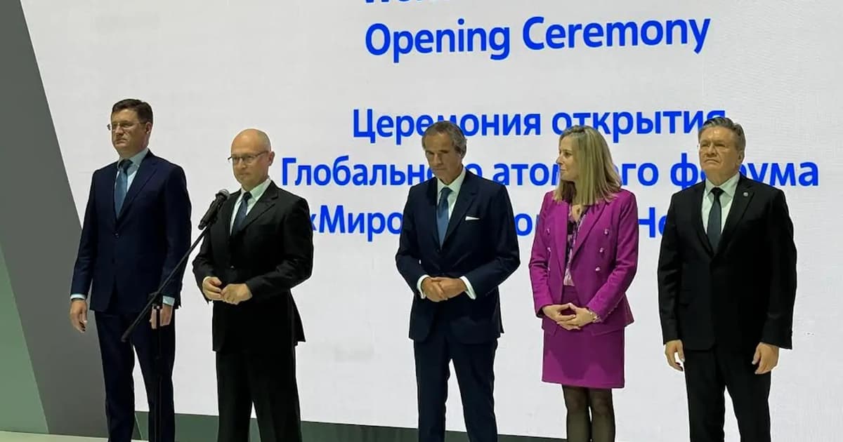 Nuclear energy must be accessible to all, says atomic agency chief