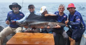Old men and the sea: fishing for the bigger picture