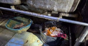 Penang restaurant ordered to close after rats, cockroach droppings found in kitchen