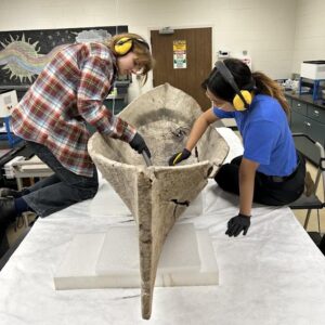 Perahu purba ditemukan selepas taufan Ian badai Florida