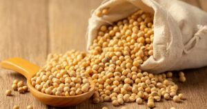 Raw soya bean, animal feed exempted from sales tax
