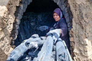 Rezeki ‘kayu hitam’