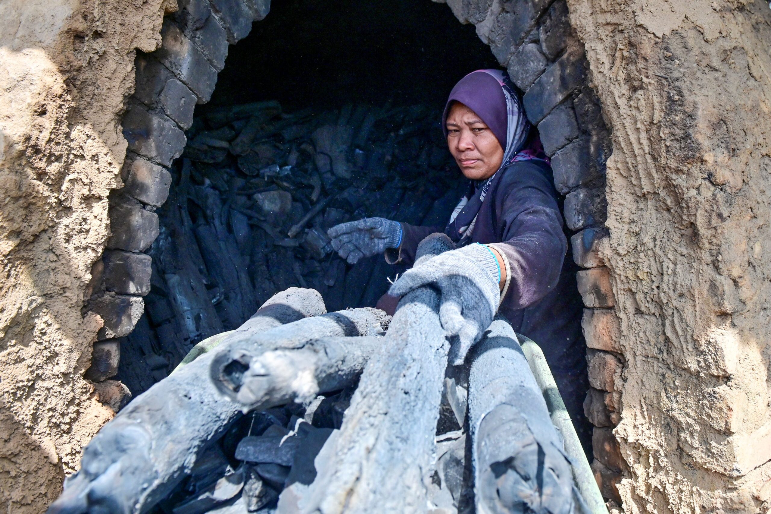 Rezeki ‘kayu hitam’