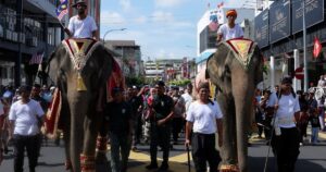 Sanum and Chery the elephants seal the show at Malaysia Day parade