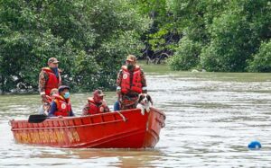 Search underway for missing man near Sungai Baru Labu in Seri Iskandar