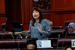 Senate passes Consumer Credit Bill 2025 to regulate credit industry