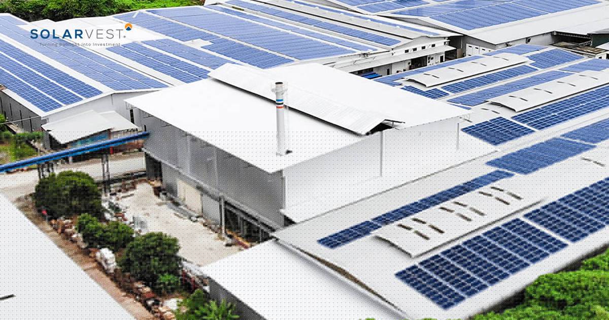 Solarvest earnings beat expectations as growth pipeline strengthens