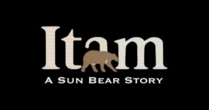 Sun bear documentary to shine spotlight on Sandakan as wildlife gateway