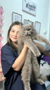 Sweetie dan Grey, si parsi lagak diva tetapi penakut