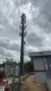 Terkandas pada ketinggian 40 meter gara-gara tebuan