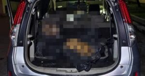 Tiger carcass discovered in Johor, likely for black market sale