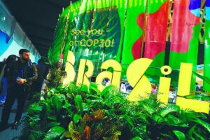 Trust is key to real sustainability