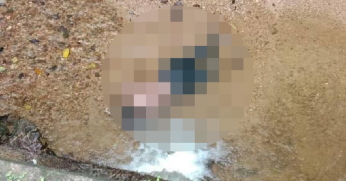 Unidentified man's body found in Temenggor tributary