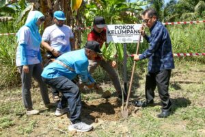 Usaha popularkan semula bunga kelumpang sebagai identiti negeri Perak