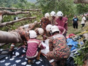 Wanita maut dihempap pokok di Janda Baik